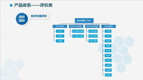 智信九鼎技術價值評價 軟件技術推廣服務的專業(yè)賦能